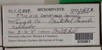 Image Associated With the Occurence